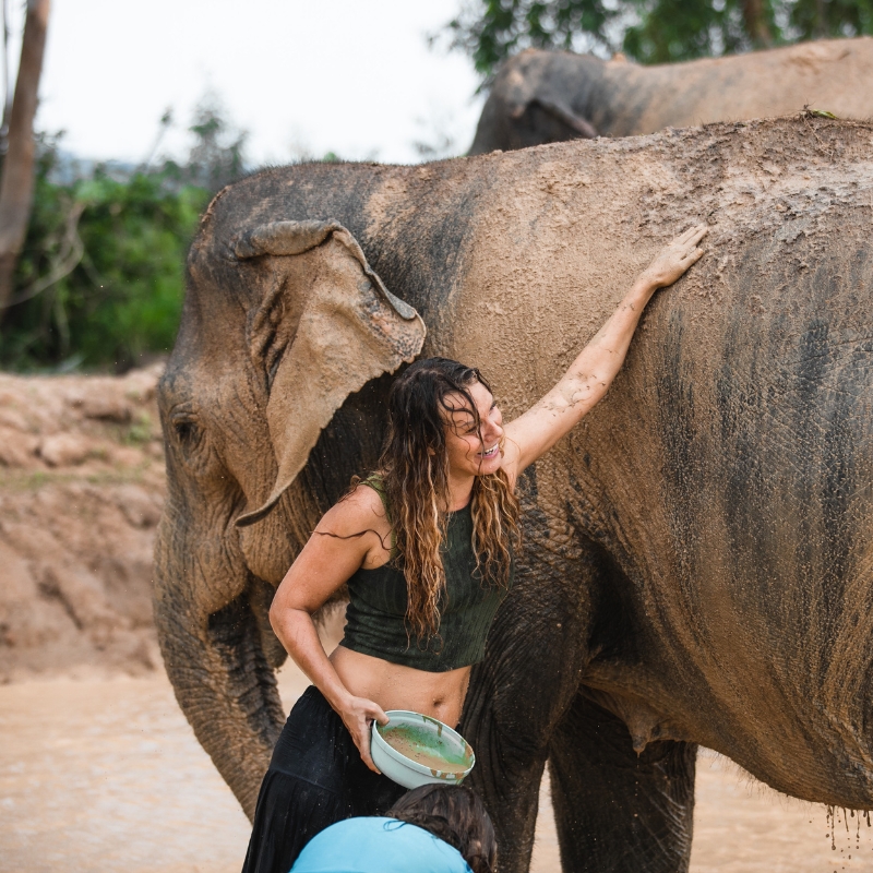 woman petting elephant at elephant jungle sanctuary pattaya