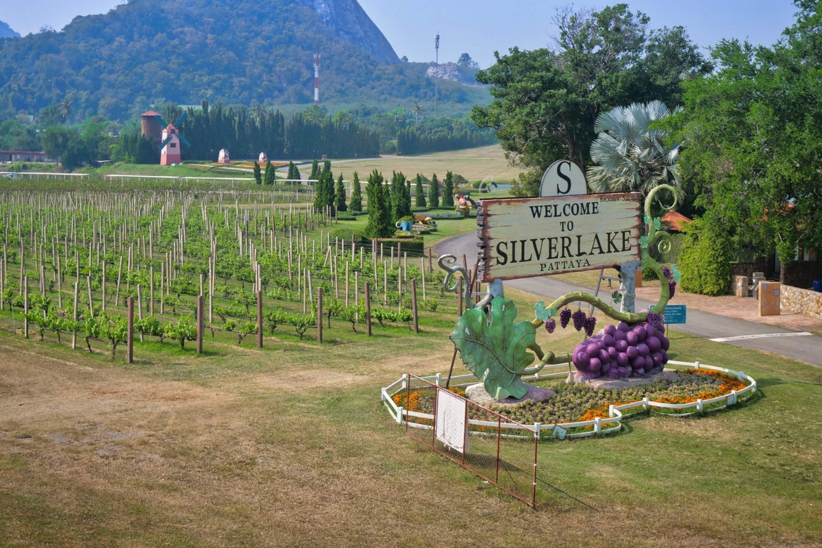 signage at silverlake vineyard in pattaya