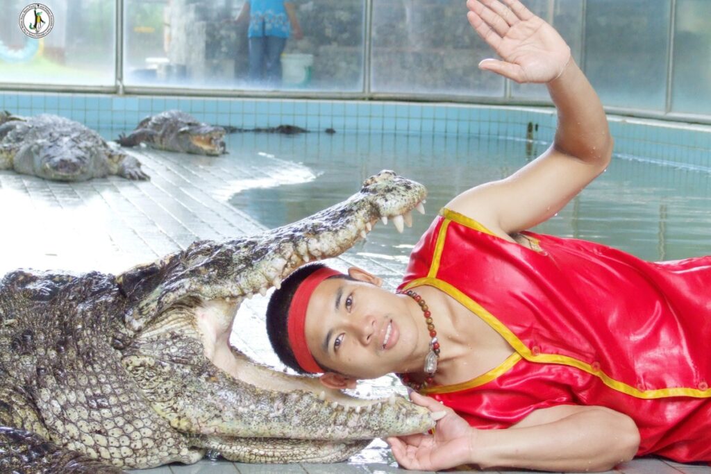 การแสดงโชว์ที่ฟาร์มจระเข้พัทยา