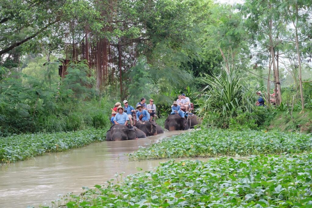 กลุ่มนักท่องเที่ยวขี่ช้างสัมผัสธรรมชาติ