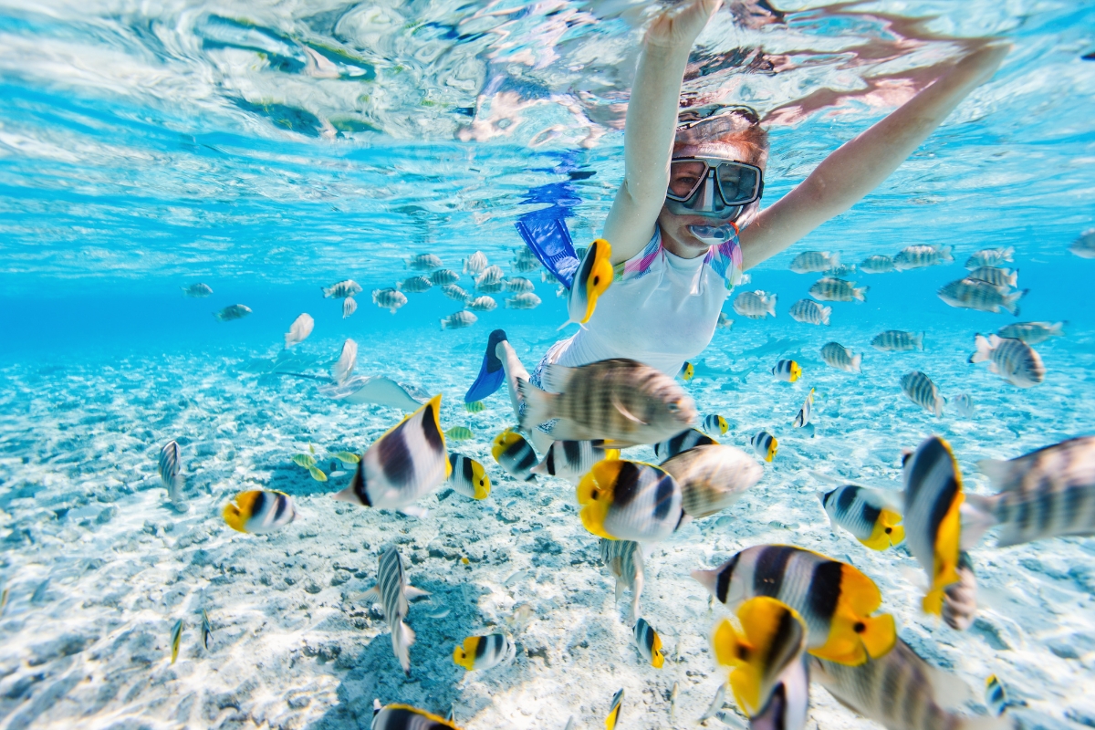 Person snorkeling under the sea surrounded by beautiful fish