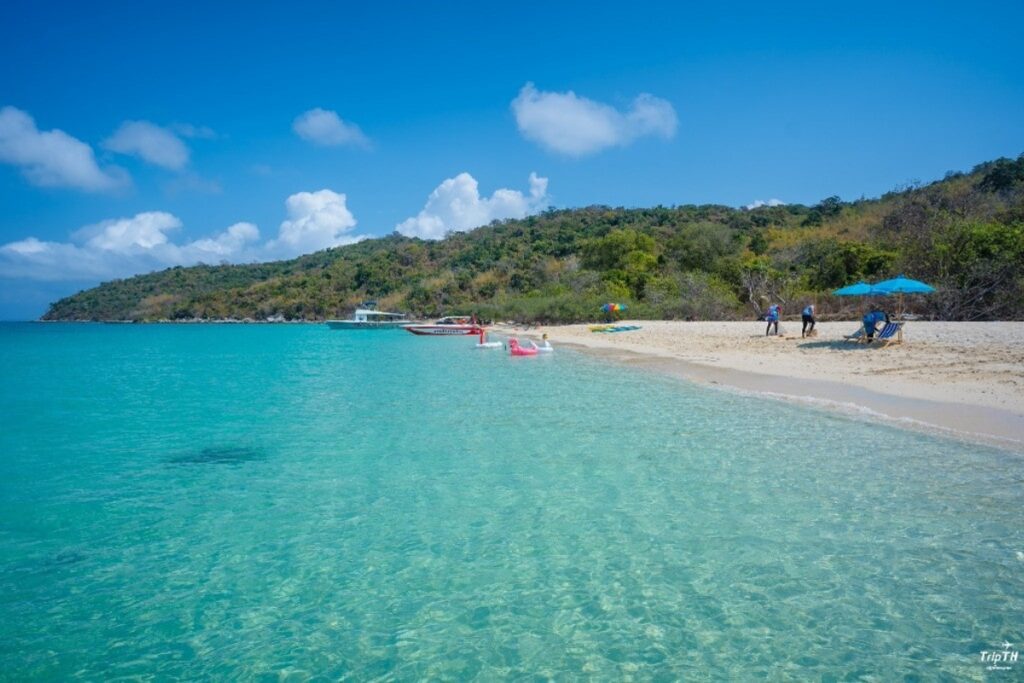 เกาะไผ่ทะเลสวย น้ำใส ธรรมชาติสมบูรณ์