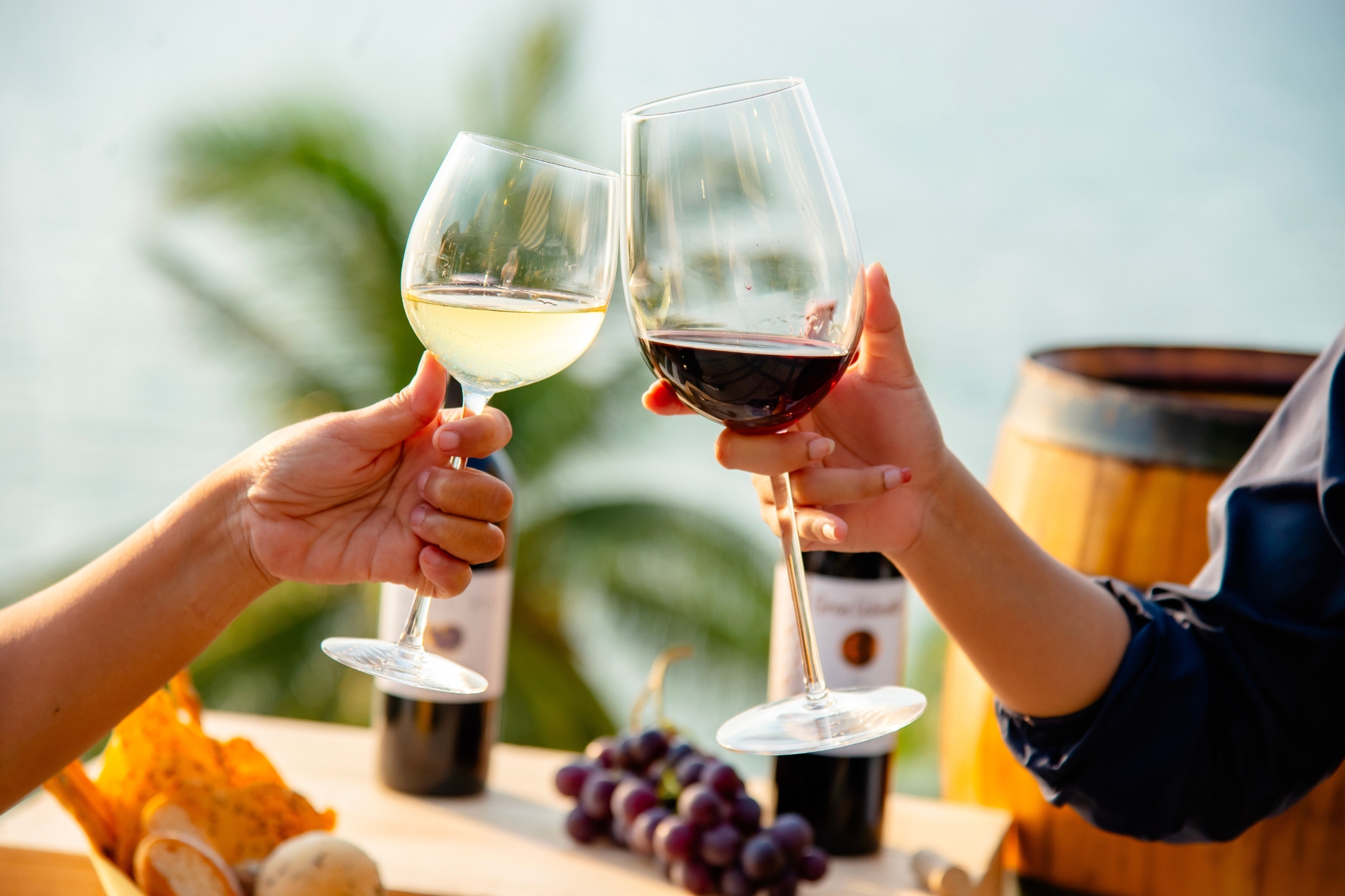 red wine and white wine glasses clinking